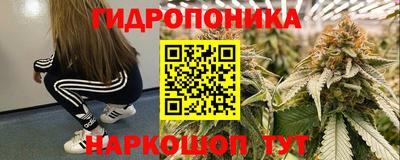 прущие крисы Славянск-на-Кубани