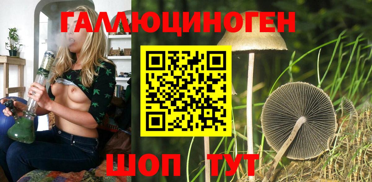 Галлюциногенные грибы прущие грибы  Псилоцибиновые грибы мухоморы  Осинники  Вход с VPN 